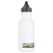 Lange kieuwen van Audubon Waterfles (Links)