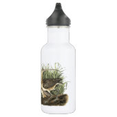 Lange kieuwen van Audubon Waterfles (Rechts)