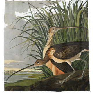 Lange kieuwen van de Vintage Marsh Bird van Audubo Douchegordijn