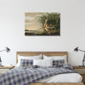 Lange kieuwkromme van de Amerikaanse vogels van Au Canvas Afdruk (Insitu (Slaapkamer))