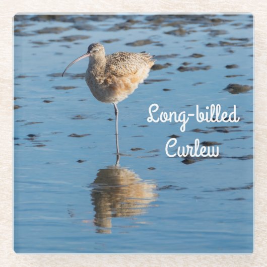 Lange kieuwkrullen glazen onderzetter (Voorkant)