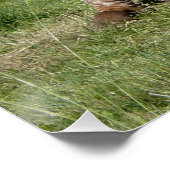 Lange Koe die zich in het zwaarste Poster verlicht (Hoek)