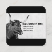 lange koe fotografie zwart - wit vierkante visitekaartje (Achterkant)