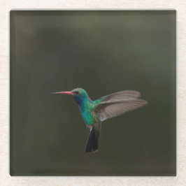 Lange kolibrie tijdens de vlucht glazen onderzetter