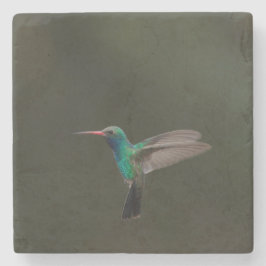 Lange kolibrie tijdens de vlucht stenen onderzetter