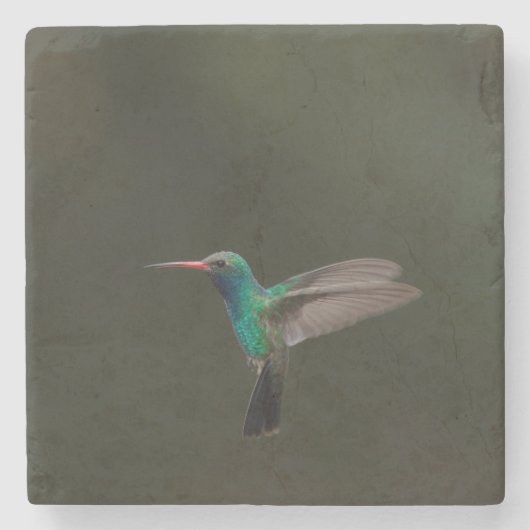Lange kolibrie tijdens de vlucht stenen onderzetter (Voorkant)