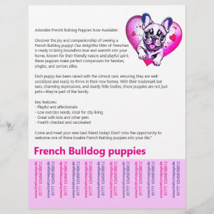 Lange leestijd Franse Bulldog Puppy Flyer 