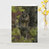 Lange ooruilen in Schotland Kaart (Gele Bloem)