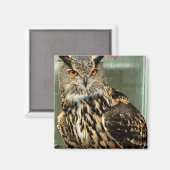 Lange oorwortel uil magneet (Voorkant / Achterkant)