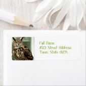 Lange oorwortel Uil Mailing Labels (Insitu)