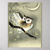 Lange oowl op een boomtak poster (Voorkant)