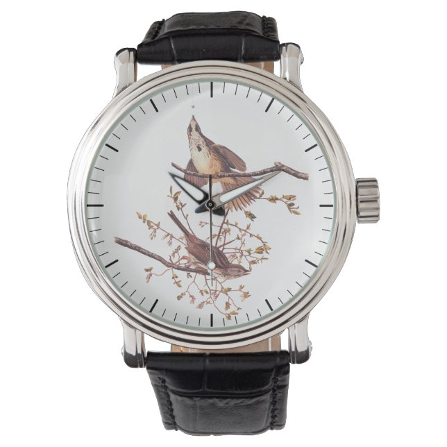 Lange paardenvogels met kleine spin horloge (Voorkant)