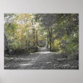 Lange pad poster (Voorkant)