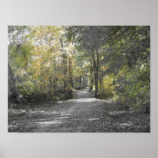 Lange pad poster (Voorkant)