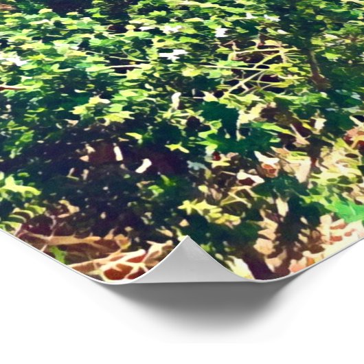 Lange rietgarnaal poster (Hoek)