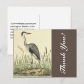 Lange staande vogel in de buurt van katstaarten, " briefkaart (Voorkant / Achterkant)