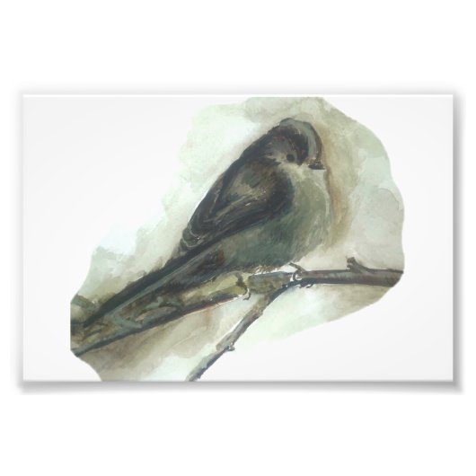 Lange staart tit tuin vogel aquarel print foto afdruk (Voorkant)