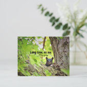 Lange tijd, geen Briefkaart zien (Staand voorkant)