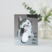 Lange tijd niet zichtbaar briefkaart (Staand voorkant)