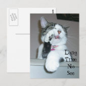 Lange tijd niet zichtbaar briefkaart (Voorkant / Achterkant)