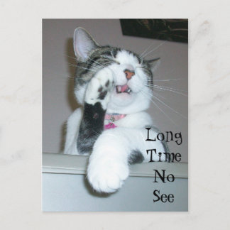 Lange tijd niet zichtbaar briefkaart