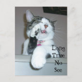 Lange tijd niet zichtbaar briefkaart (Voorkant)