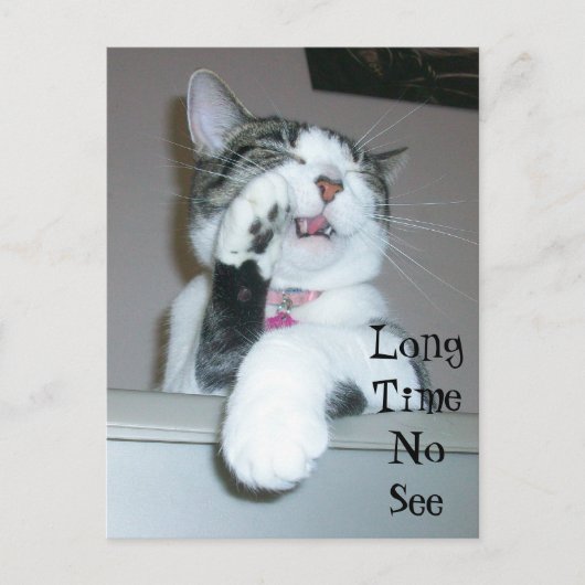 Lange tijd niet zichtbaar briefkaart (Voorkant)