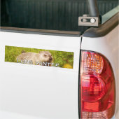 Lange winterbumper bumpersticker (Op Truck)