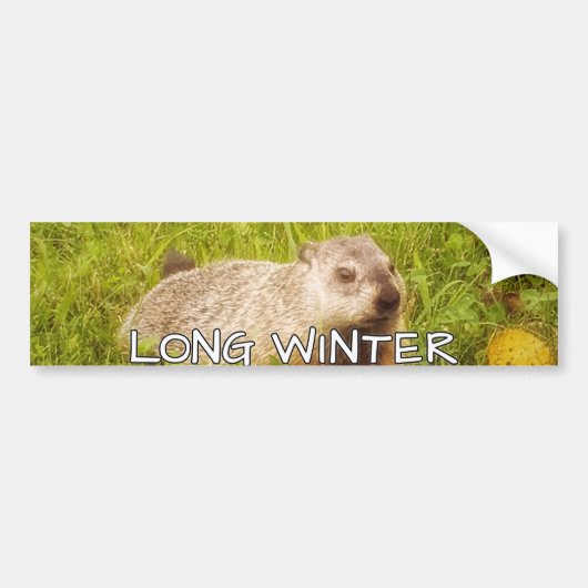 Lange winterbumper bumpersticker (Voorkant)