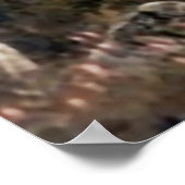 Langen Peak Estes Park Colorado Poster (Hoek)