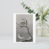 Langeoorde Uil 's nachts  Briefkaart (Staand voorkant)