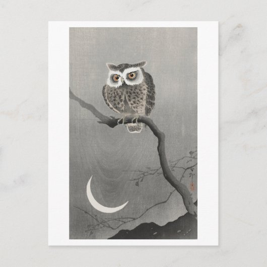 Langeoorde Uil 's nachts  Briefkaart (Voorkant)