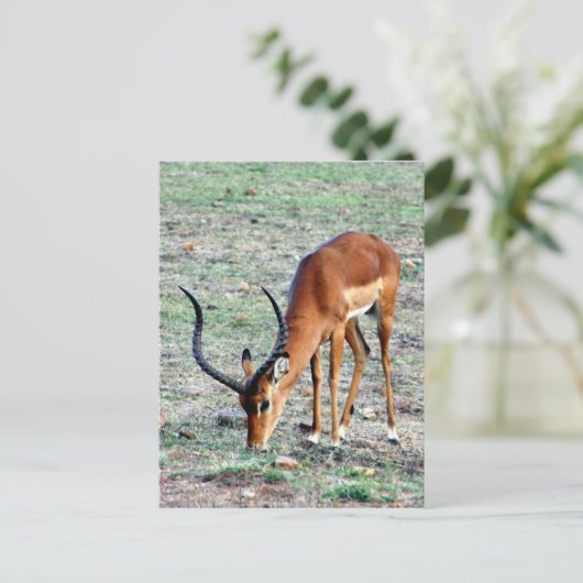 langerlopende subsidie briefkaart (Staand voorkant)