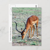 langerlopende subsidie briefkaart (Voorkant / Achterkant)