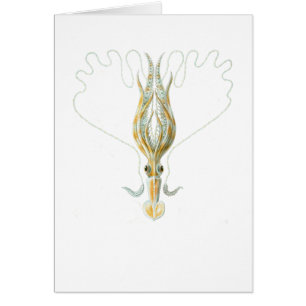 Langgewapend vierkant