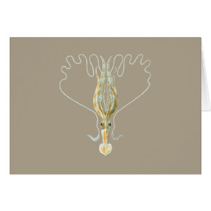 Langgewapend vierkant