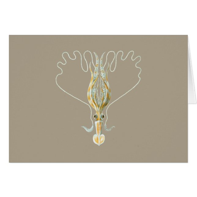 Langgewapend vierkant (Voorkant Horizontaal)