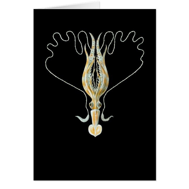 Langgewapend vierkant (Voorkant)