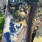 langharig chihuahua crossbody tas