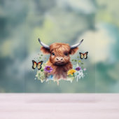 Langharig Highland Baby Koe Classic T-shirt Acryl Bord