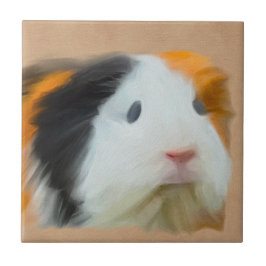 langharig kleurrijk cavia tegeltje