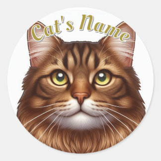  langharige bruine tabby kat · Gepersonaliseerd Ronde Sticker