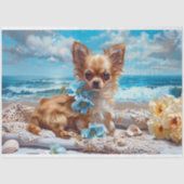Langharige Chihuahua Beach Decoupage Tissuepapier (Voorkant)