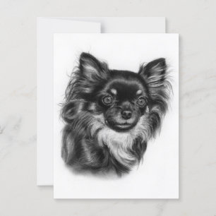 Langharige Chihuahua Hand getrokken Pet Art Briefkaart