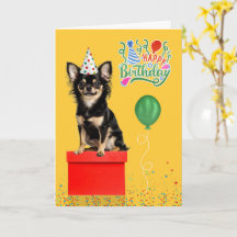 Langharige Chihuahua-hond feesthoed Geel Verjaarda