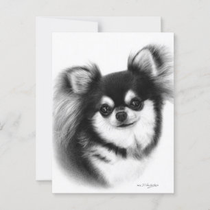 Langharige Chihuahua olieverfschilderij Briefkaart