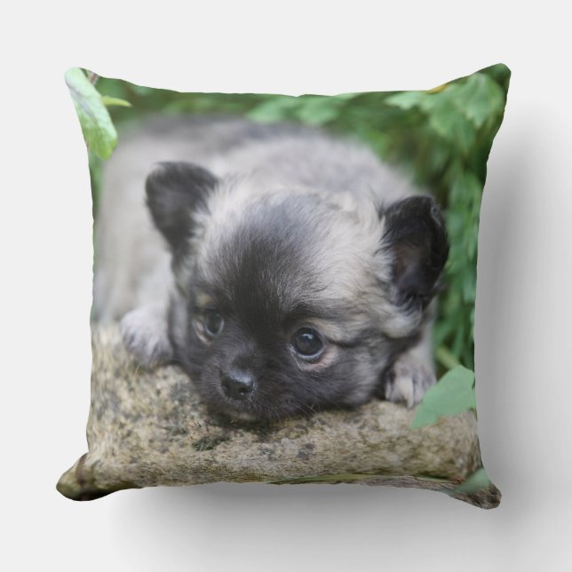 Langharige Chihuahua Puppy Kussen (Voorkant)