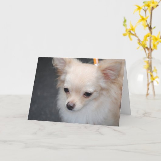 Langharige Chihuahua Wenskaarten Kaart (Gele Bloem)