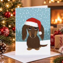 Langharige Chocolade Dachshund Lieve Hond Kerstmis