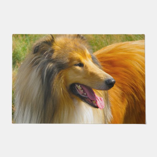 Langharige Collie. Deurmat (Voorkant)